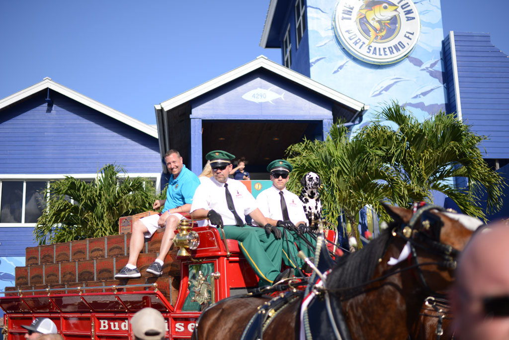 Galleryclydesdale Southern Eagle Distributing